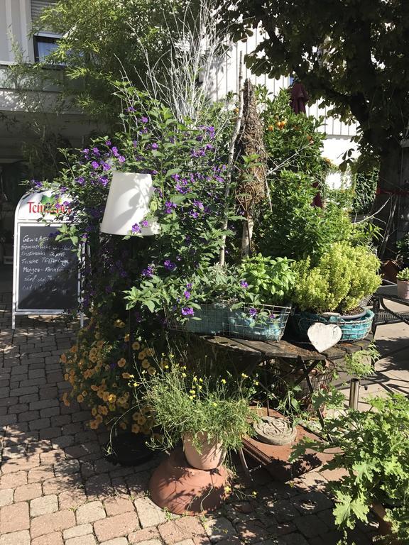 Hotel Schwarzwalder Hof Achern Eksteriør billede